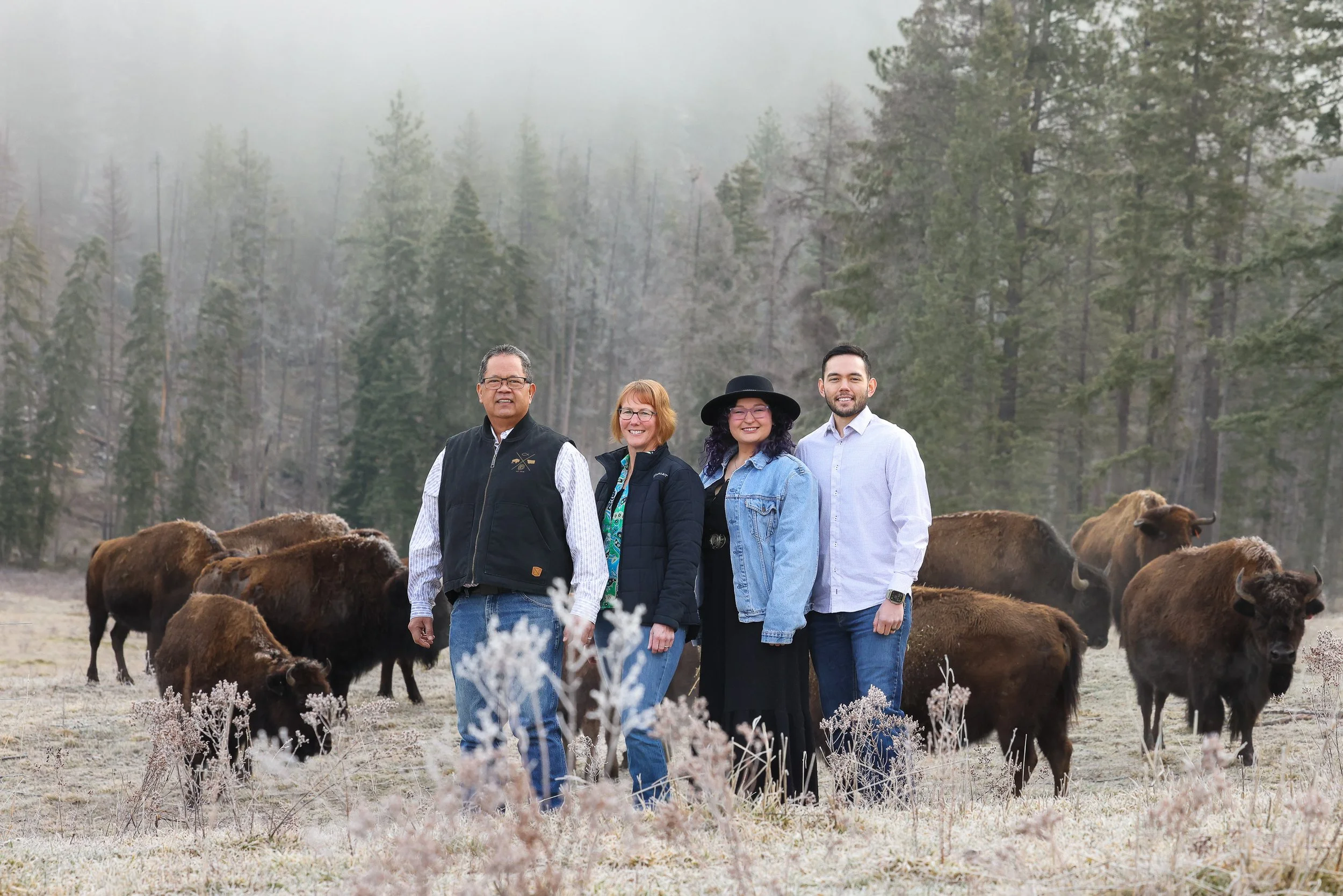 1/8 Bison Package — Harlow Ranch Bison Co. in NW Montana